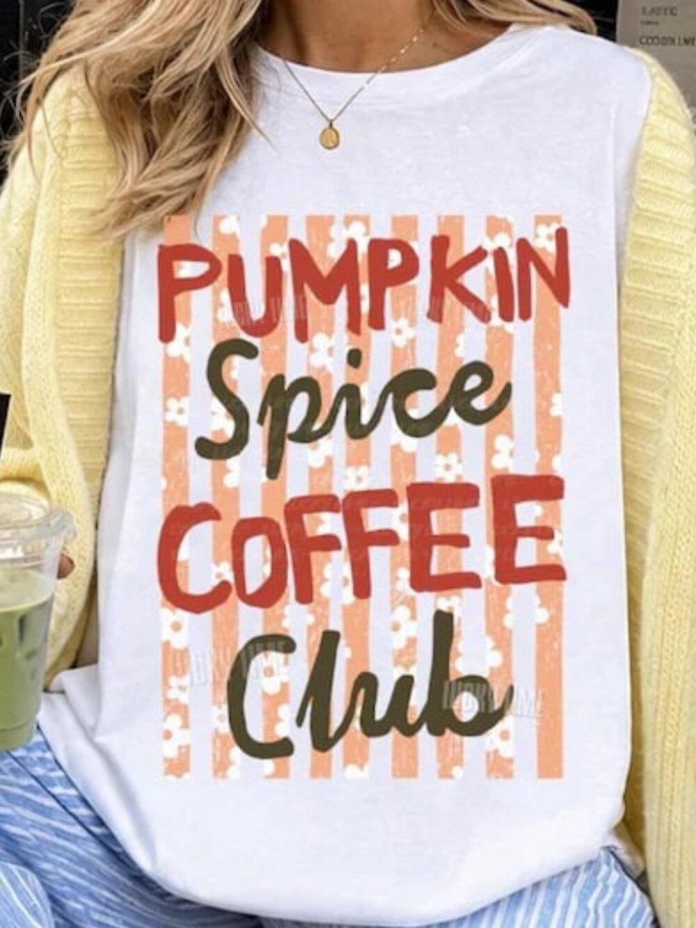 Fall Pumpkin Shirt, Pumpkin Season Shirt, Fall Lover Tee
